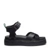 Pnhaitao.shop2d65642650 1