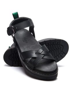 Pnhaitao.shop2d65642650 2